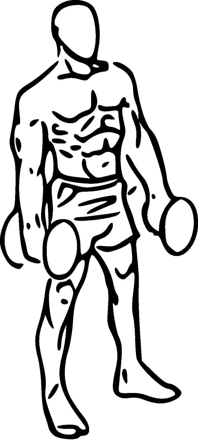 Illustration of a dumbbell hammer curl.